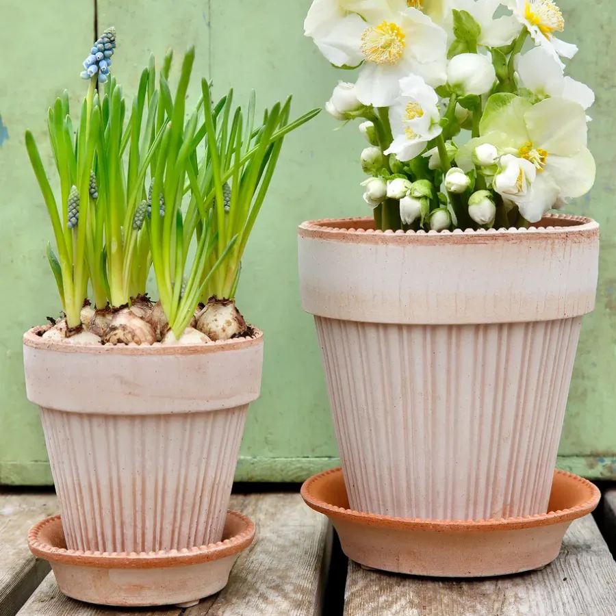 Bergs Potter Simona pot Ø18 cm, Roze< Bloempotten