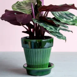 Bergs Potter Simona pot geglazuurd Ø16 cm, Groen< Bloempotten