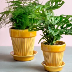 Bergs Potter Simona pot geglazuurd Ø14 cm, Geel< Bloempotten