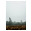Fine Little Day Skog poster, 70 x 100 cm< Posters