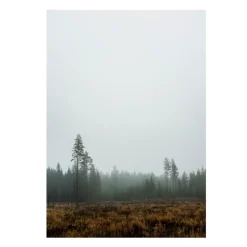 Fine Little Day Skog poster, 70 x 100 cm< Posters