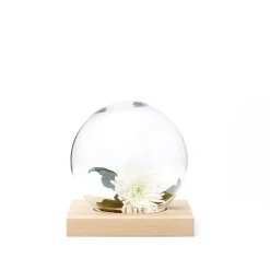 A2 Space decoratie, witgeolied eikenhout, glas< Decoratieve Accessoires