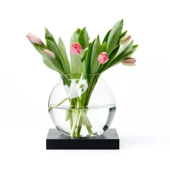 A2 Space decoratie, zwartgebeitst eikenhout, glas< Decoratieve Accessoires