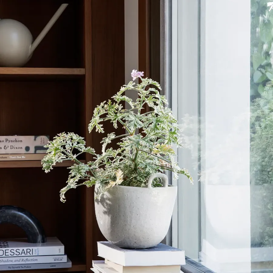 Ferm Living Speckle pot Ø30 cm, Off white< Bloempotten