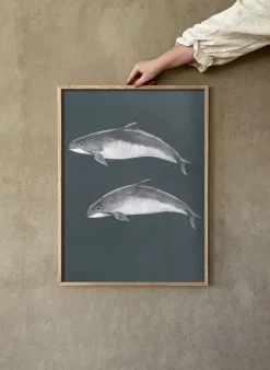 Kunskapstavlan® Östersjötumlare poster, 50x70 cm< Posters