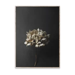 Paper Collective Still Life 04 Hydrangea poster, 30x40 cm< Posters