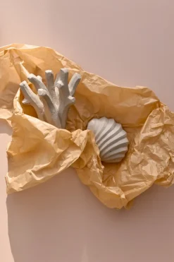 Cooee Design The Clam Shell sculptuur 13 cm, Limestone< Sculpturen & Porseleinen Beelden