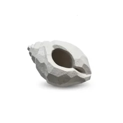 Cooee Design The Pear Shell sculptuur 16 cm, Limestone< Sculpturen & Porseleinen Beelden