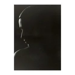Paper Collective The Silhouette poster, 50x70 cm< Posters