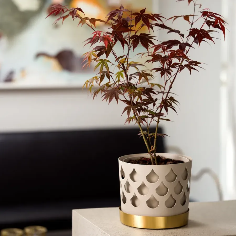 KLONG Trio Drop bloempot beige met schotel van messing, Medium Ø18 cm< Bloempotten