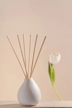Volant geurstokjes 150 ml, Fresh Zest< Geurkaarsen & Aroma Diffusers